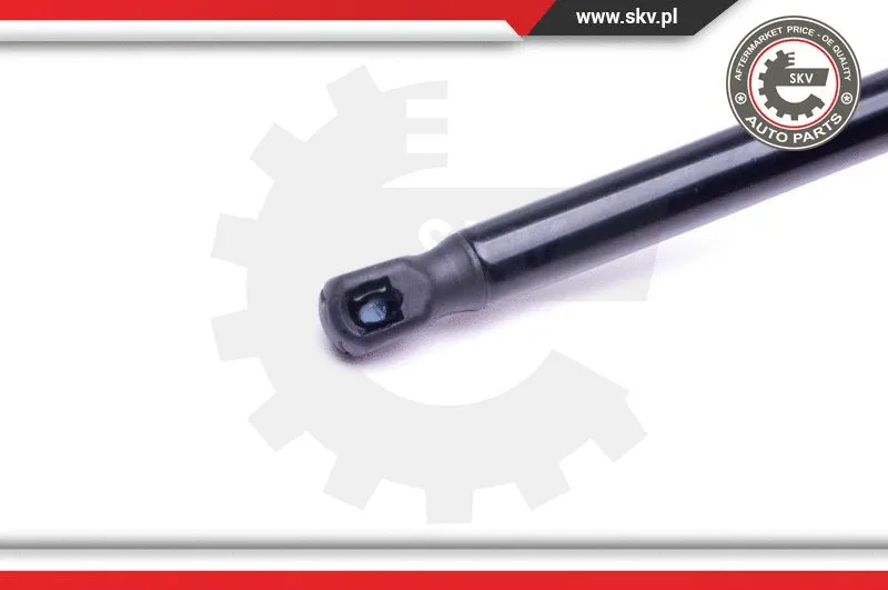 Gas Spring, boot/cargo area