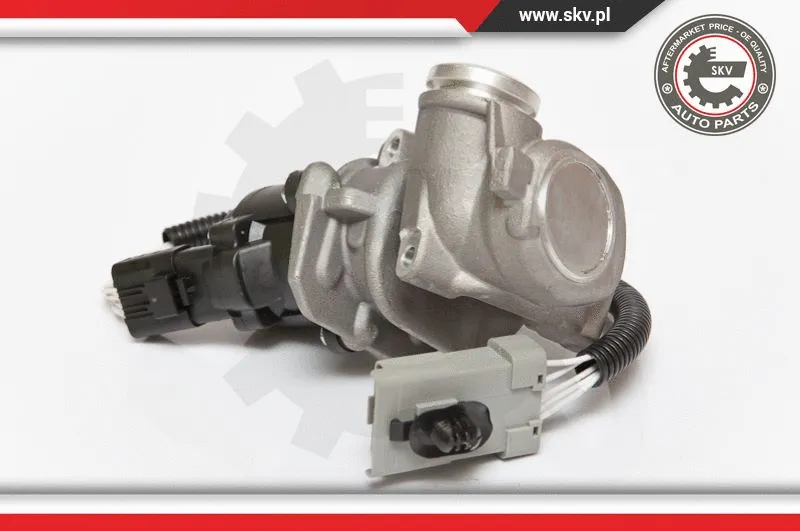 EGR Valve