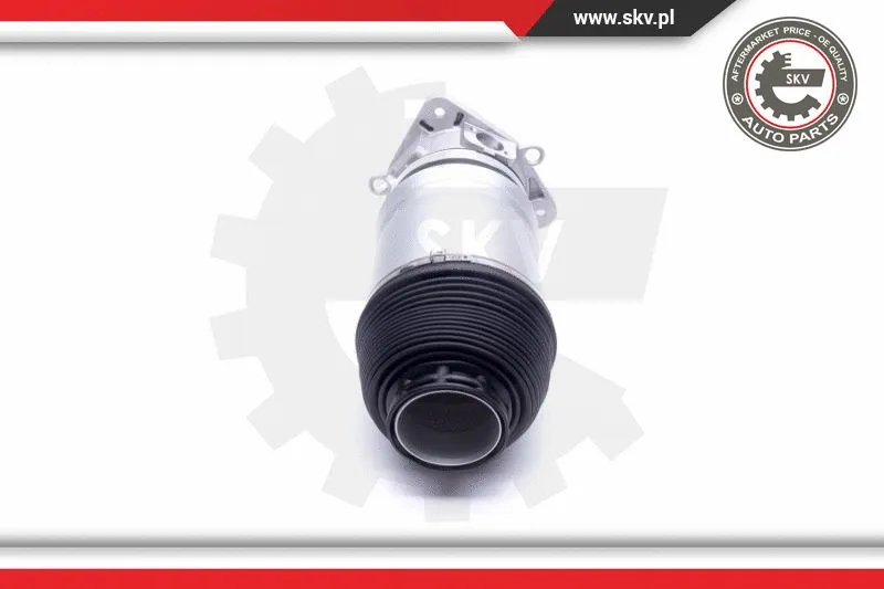 Air Suspension Strut