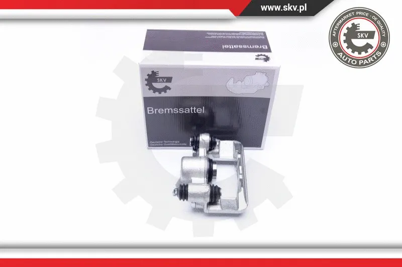 Brake Caliper (42SKV283)