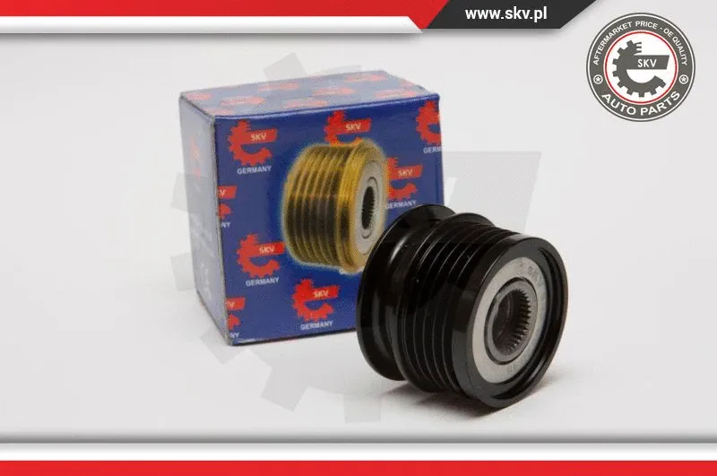Alternator Freewheel Clutch (11SKV014)