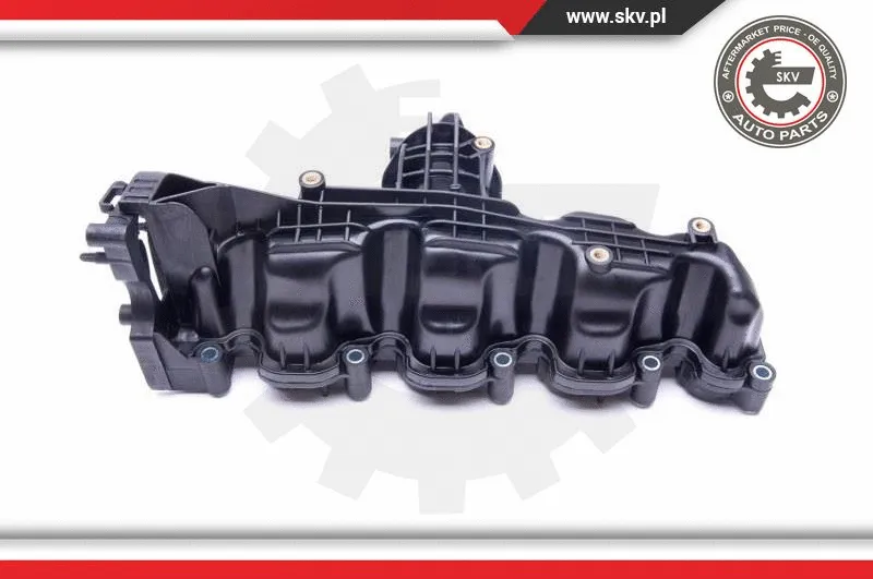 Intake Manifold Module