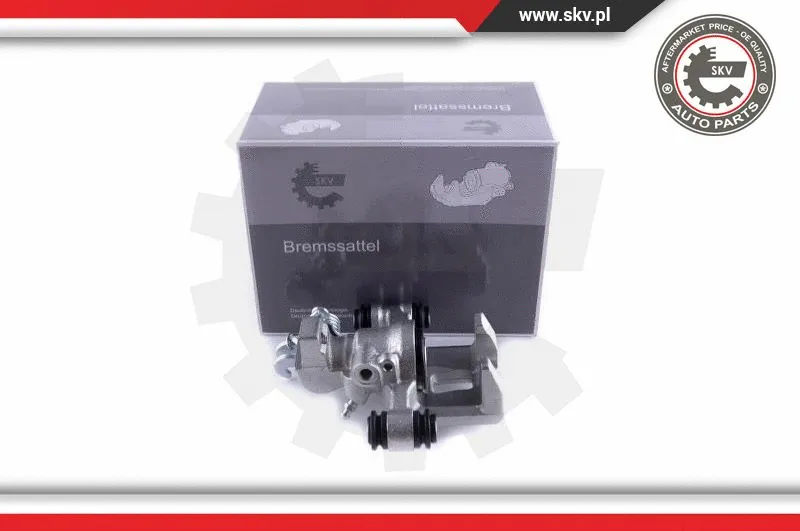 Brake Caliper (55SKV074)