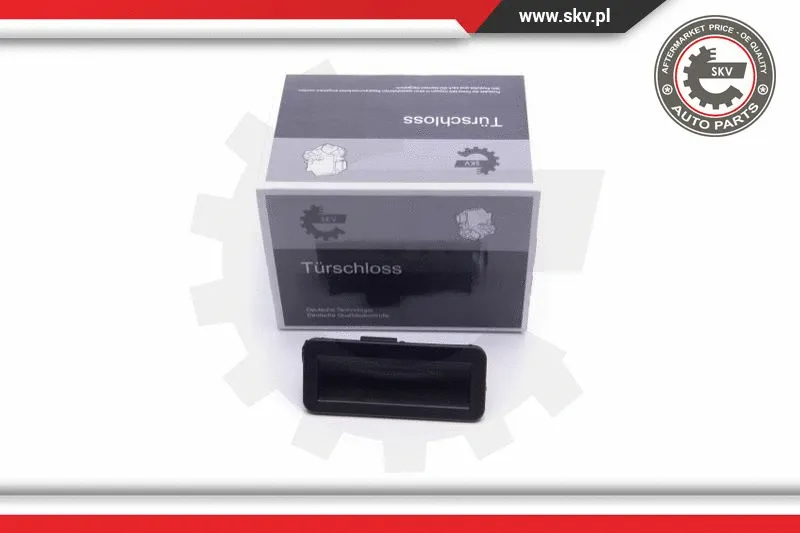 Tailgate Handle (16SKV252)