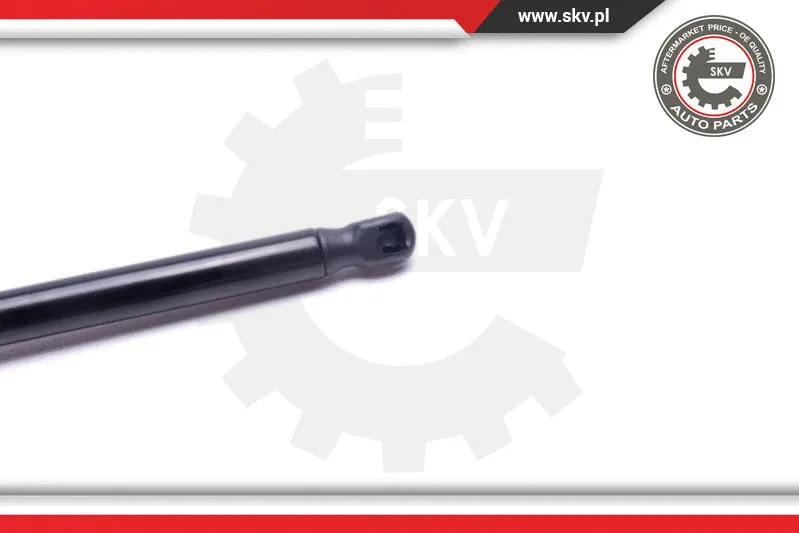 Gas Spring, boot/cargo area