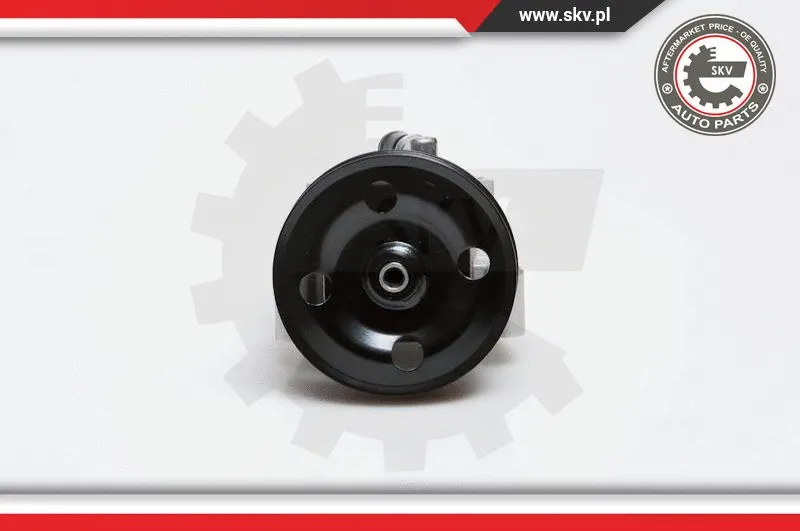 Hydraulic Pump, steering (10SKV091)