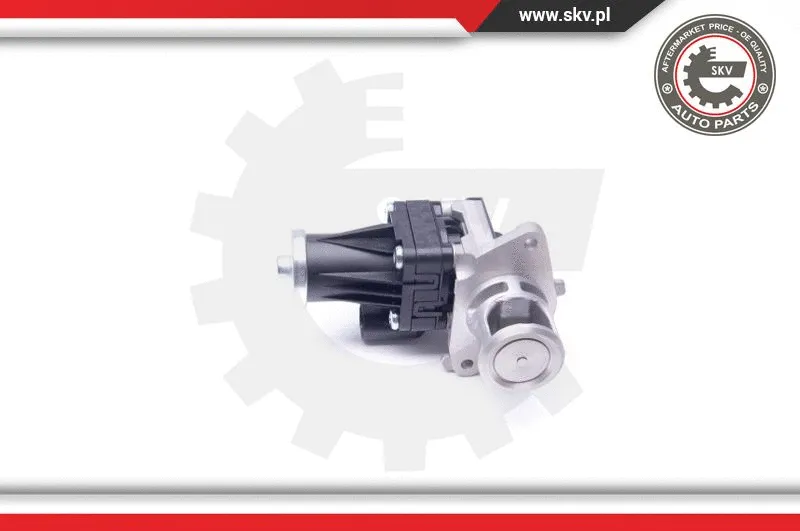 EGR Valve (14SKV159)