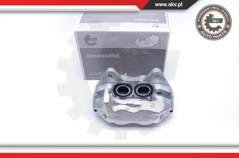 Brake Caliper (45SKV131)