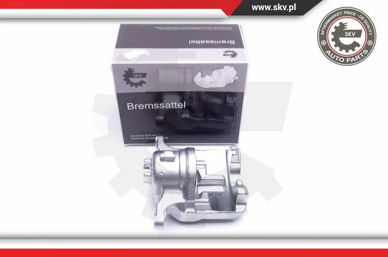 Brake Caliper (44SKV972)