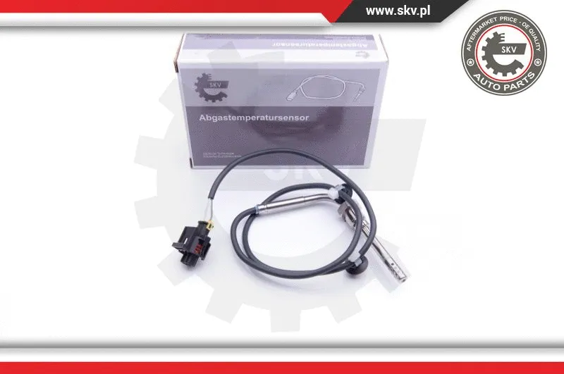 Sensor, exhaust gas temperature (30SKV165)