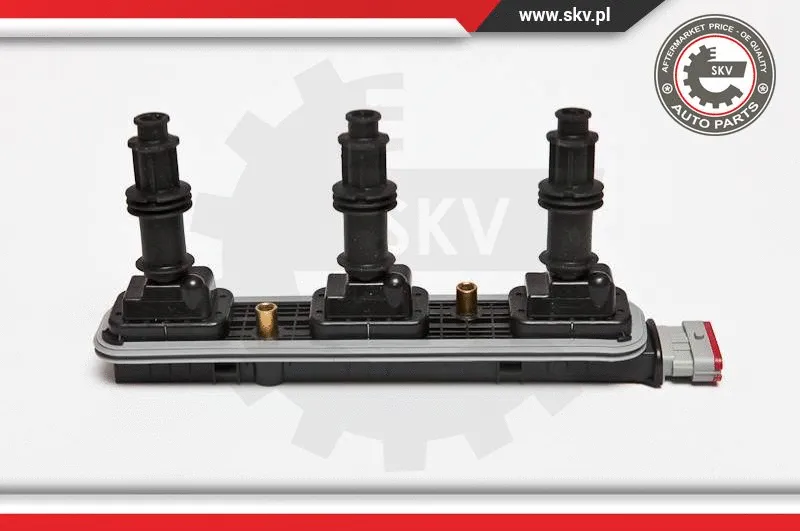 Ignition Coil (03SKV208)