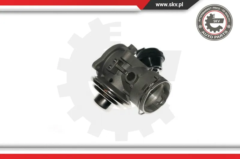 EGR Valve