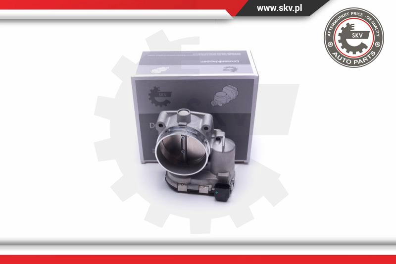 Throttle Body (12SKV105)