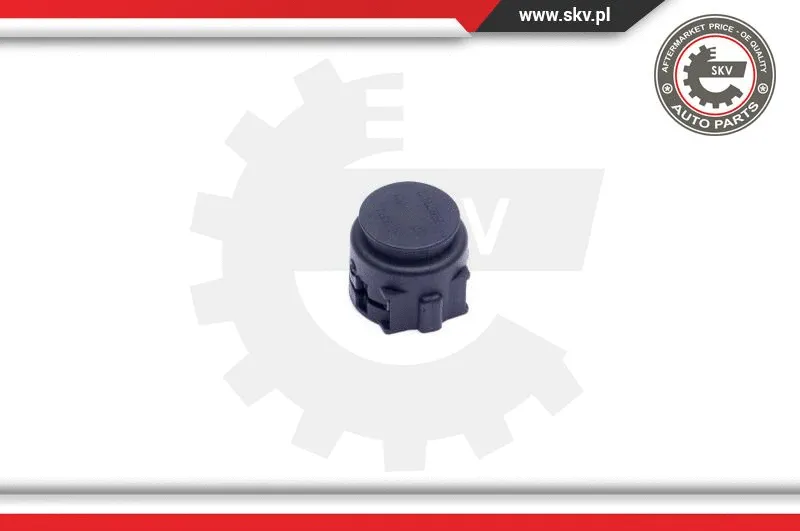 Sealing Plug, coolant flange