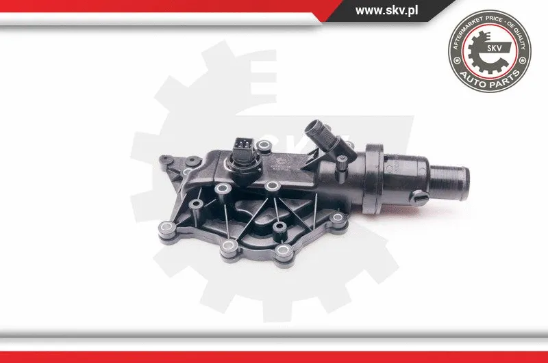 Thermostat, coolant (20SKV073)