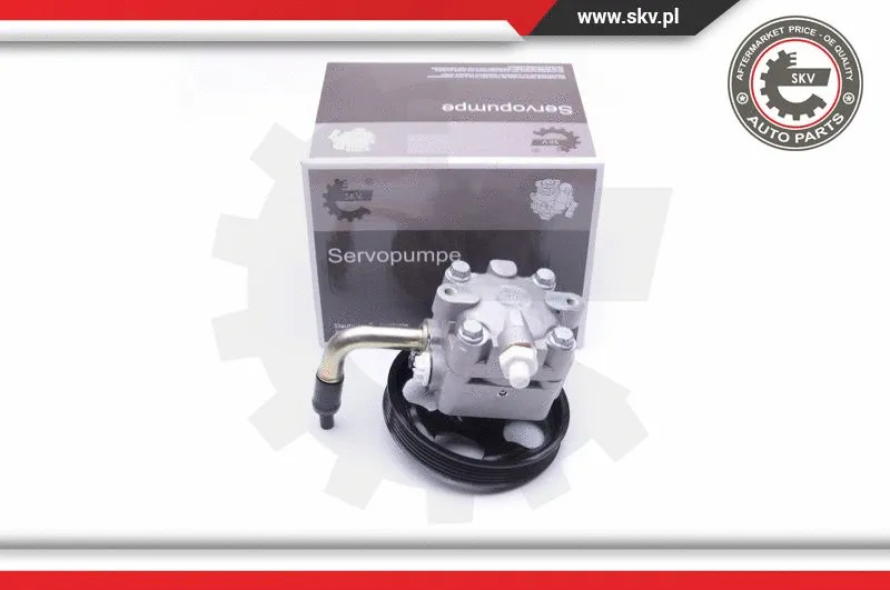 Hydraulic Pump, steering (10SKV268)