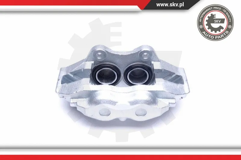 Brake Caliper (45SKV232)