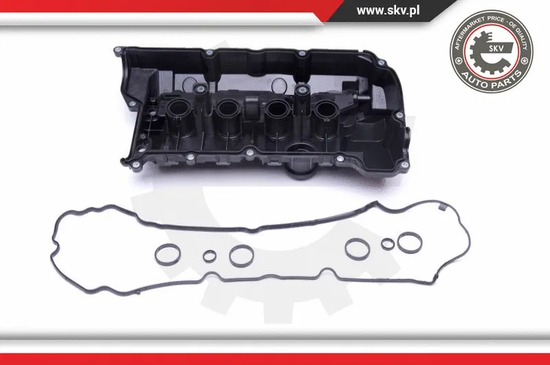 Cylinder Head Cover (48SKV016)