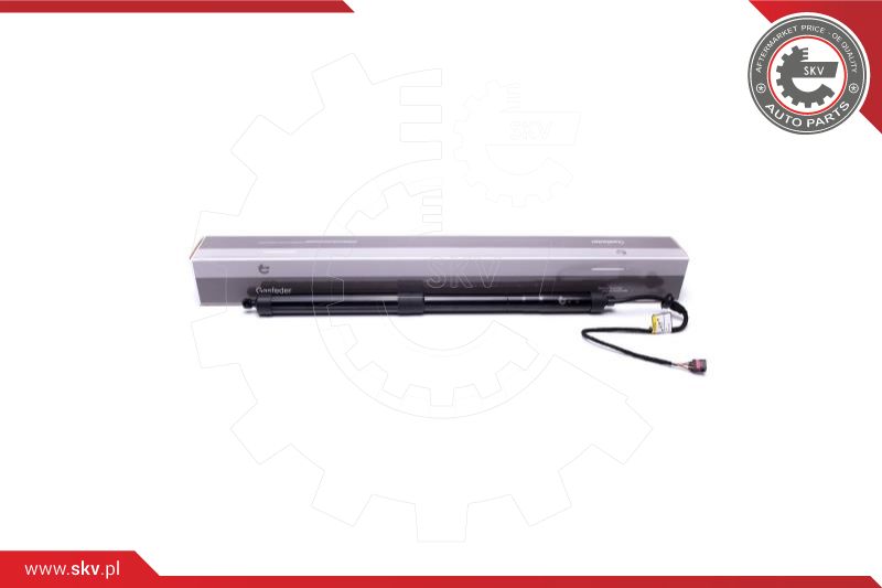 Electric Motor, tailgate (52SKV902)