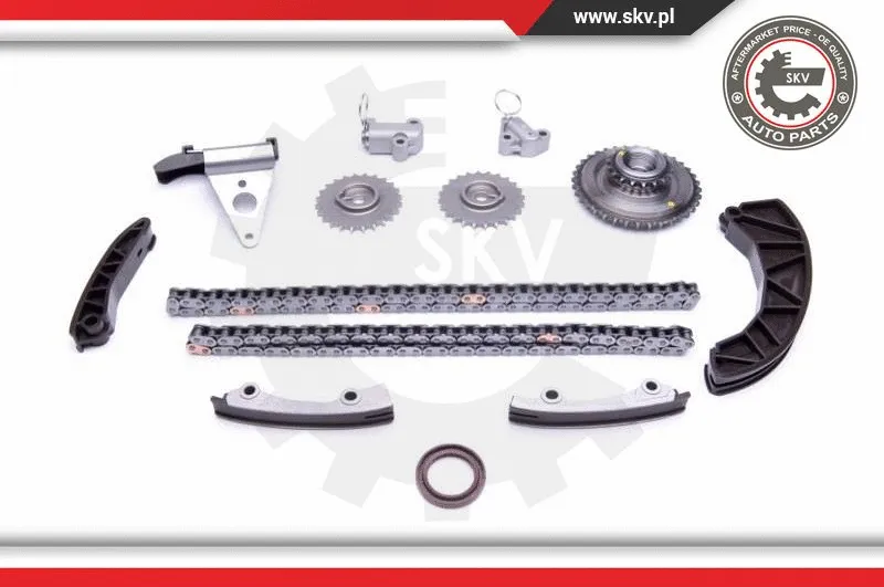 Timing Chain Kit