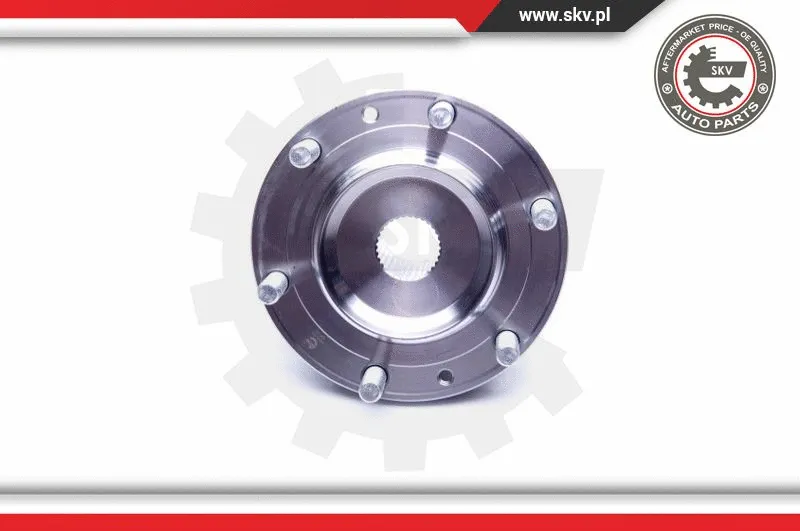 Wheel Bearing Kit