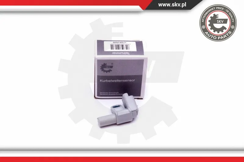 Sensor, camshaft position (17SKV500)