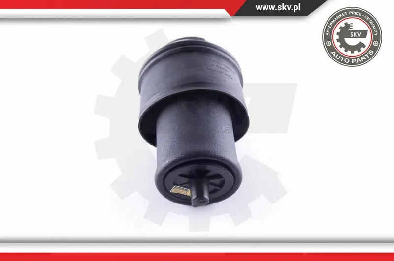 Air Spring, suspension