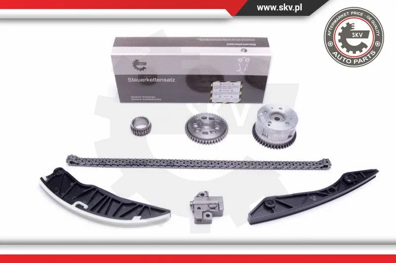 Timing Chain Kit (21SKV244)
