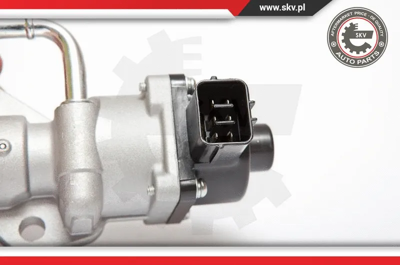 EGR Valve