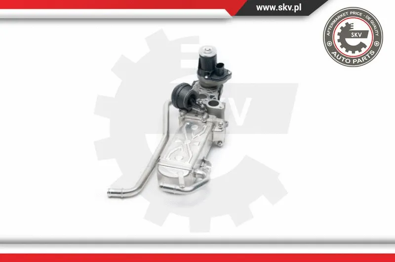 EGR Valve