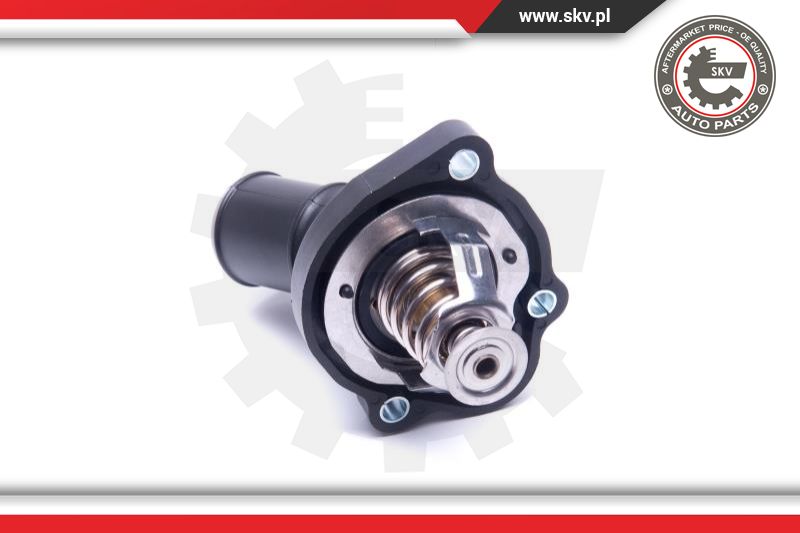 Thermostat, coolant