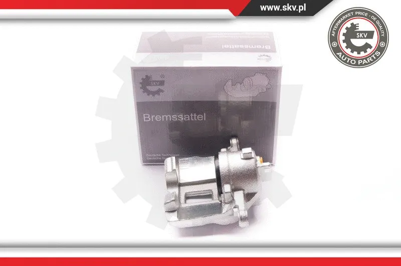 Brake Caliper (23SKV491)