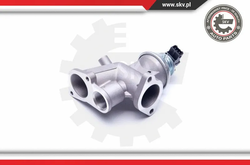 EGR Valve