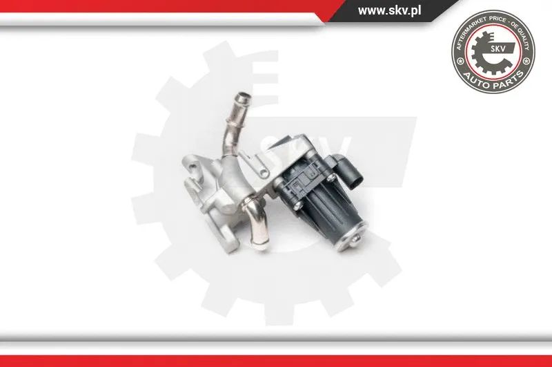 EGR Valve