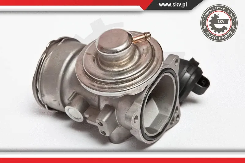 EGR Valve (14SKV024)