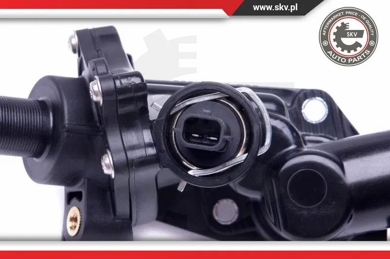 Thermostat, coolant