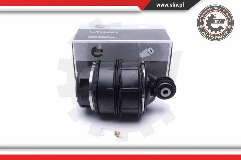 Air Spring, suspension (58SKV058)