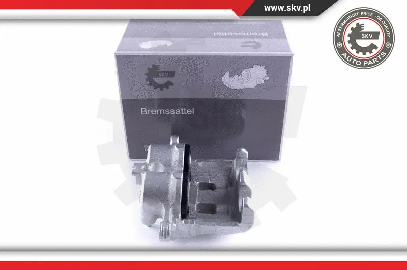 Brake Caliper (50SKV811)