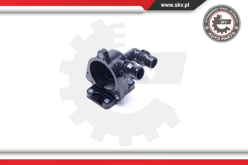 Thermostat, coolant
