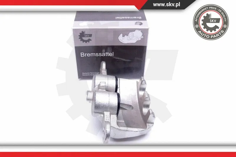 Brake Caliper (45SKV551)