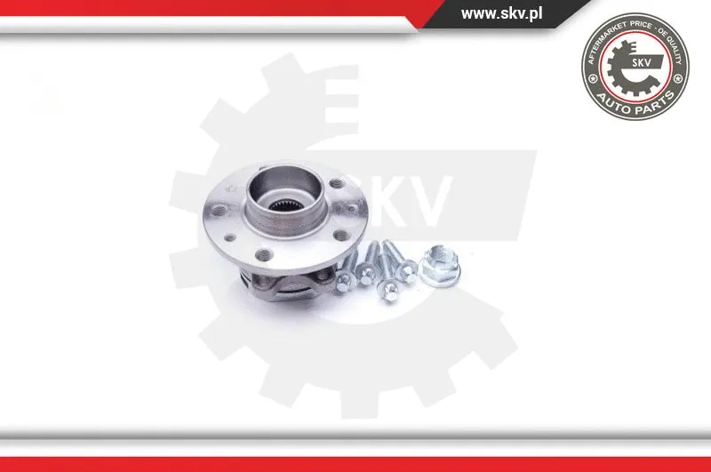 Wheel Bearing Kit