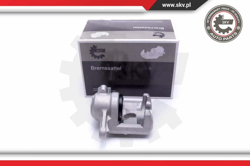 Brake Caliper (42SKV443)
