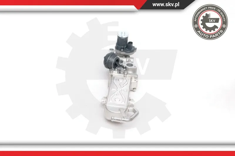EGR Valve
