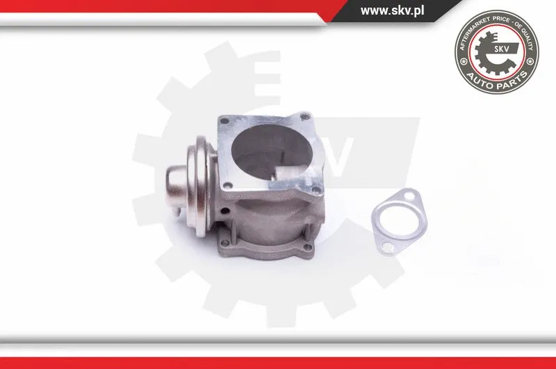 EGR Valve
