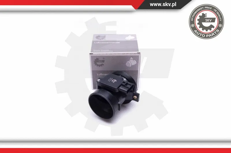 Mass Air Flow Sensor (07SKV175)