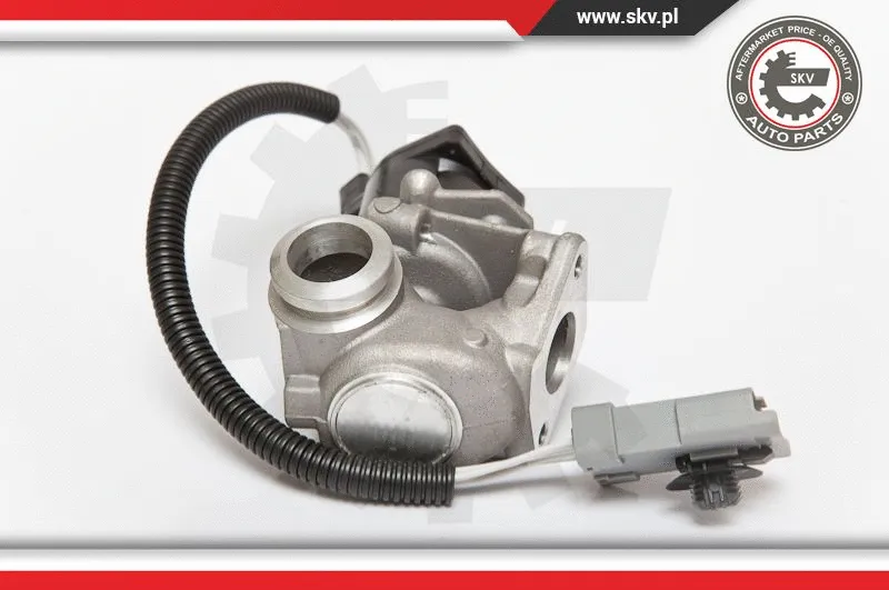 EGR Valve (14SKV071)