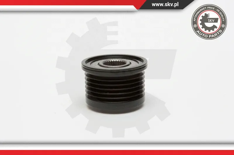 Alternator Freewheel Clutch