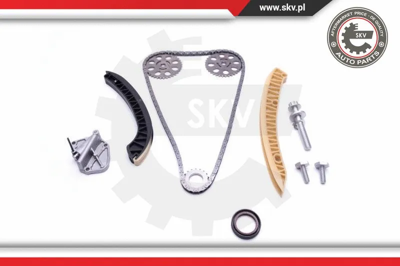 Timing Chain Kit