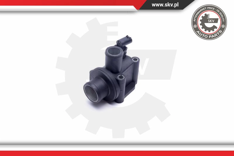 Thermostat, coolant