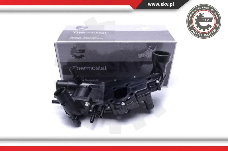 Thermostat, coolant (20SKV112)